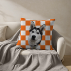 Pillow - Square - all color 6