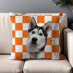 Pillow - Square - all color 5