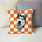 Pillow - Square - all color 4