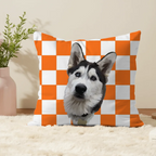 Pillow - Square - all color 8