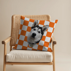 Pillow - Square - all color 7