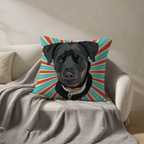 Pillow - Square - all color 6