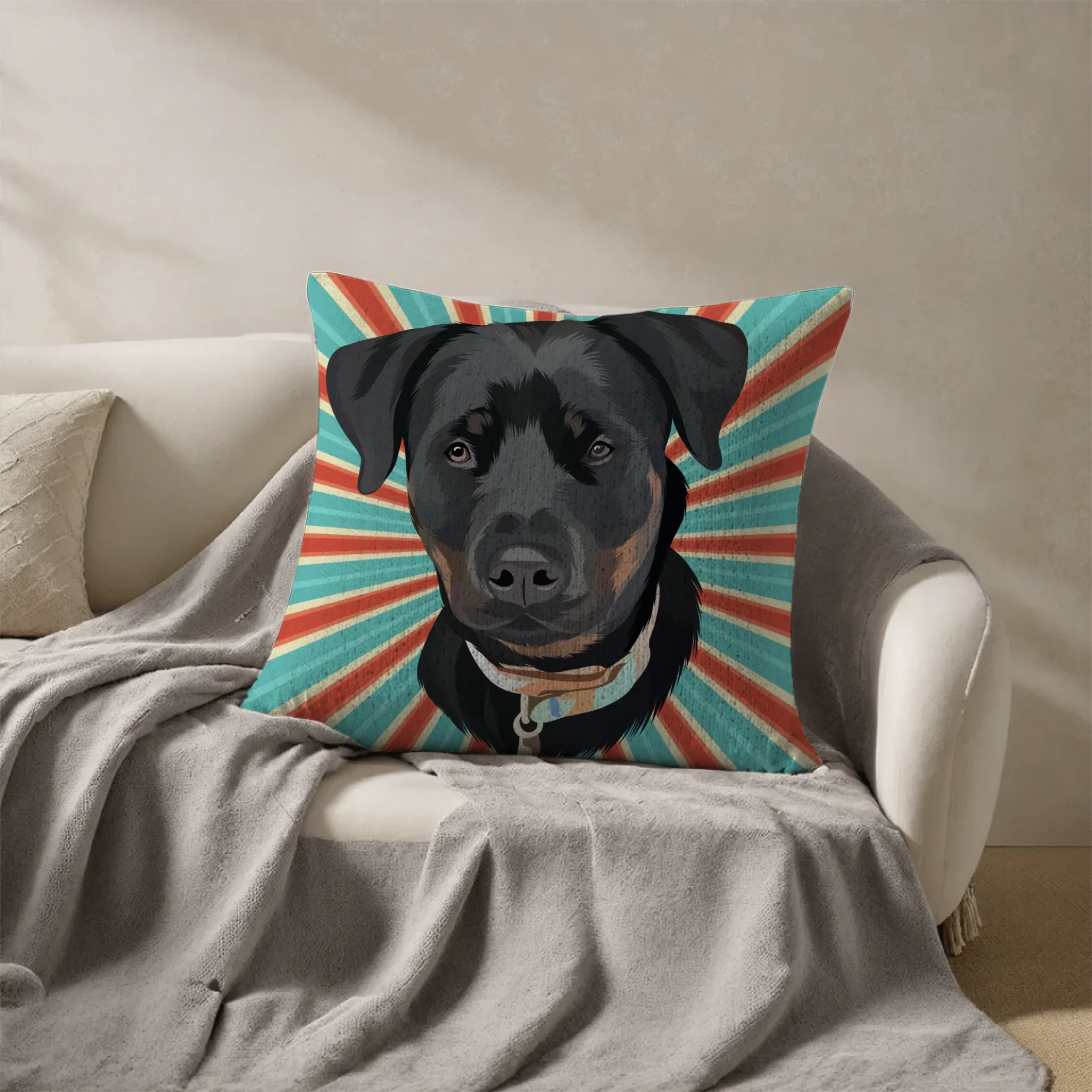 Pillow - Square - all color 6