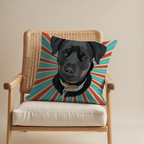 Pillow - Square - all color 7