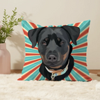 Pillow - Square - all color 8