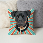 Pillow - Square - all color 4