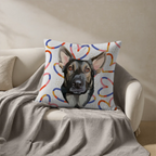Pillow - Square - all color 6