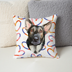 Pillow - Square - all color 4