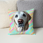 Pillow - Square - all color 4