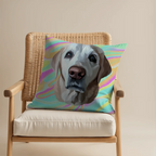 Pillow - Square - all color 7