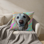 Pillow - Square - all color 6