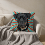 Pillow - Square - all color 6