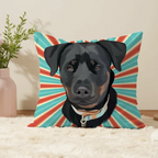 Pillow - Square - all color 8