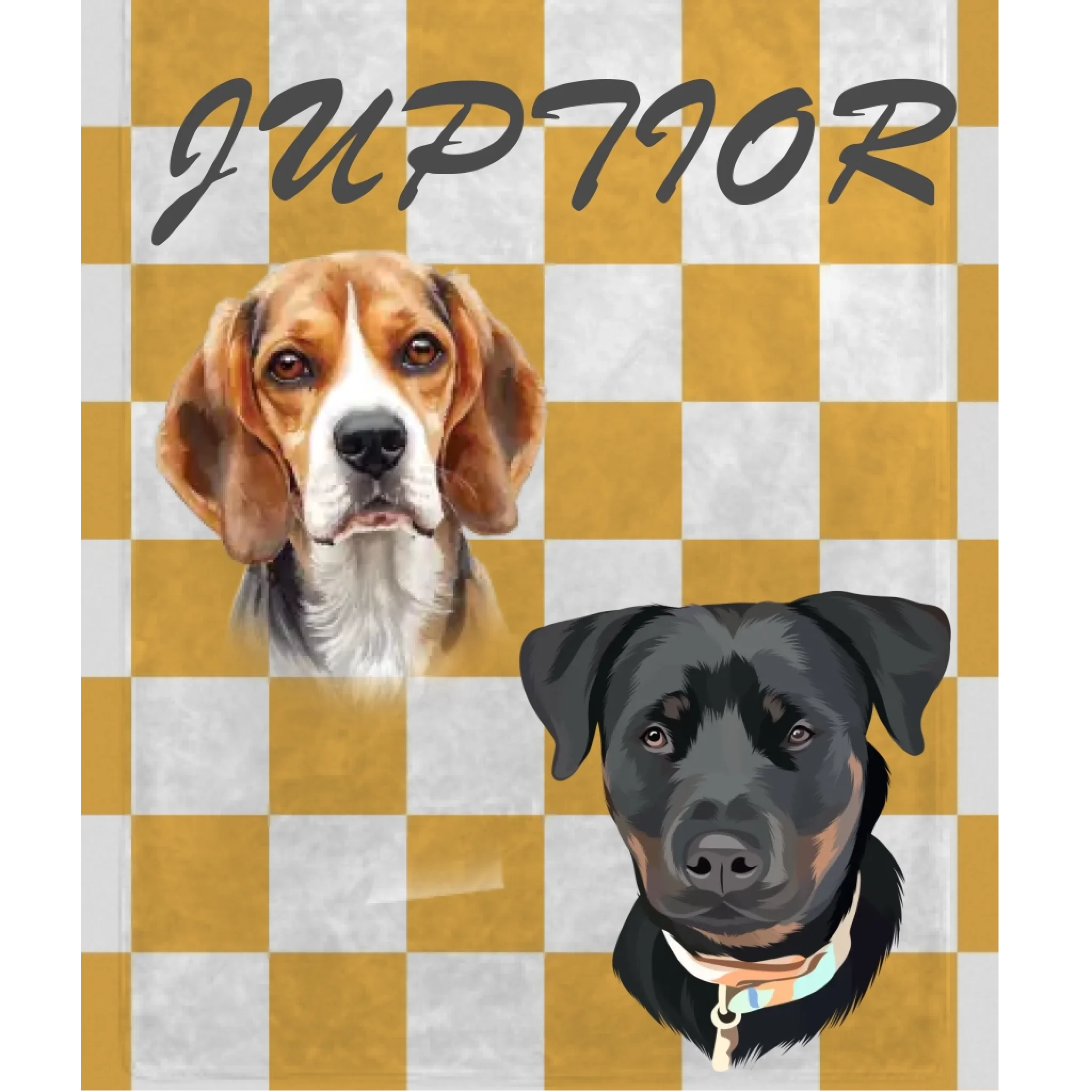 Personalized Checkered Photo Blanket Secondary image